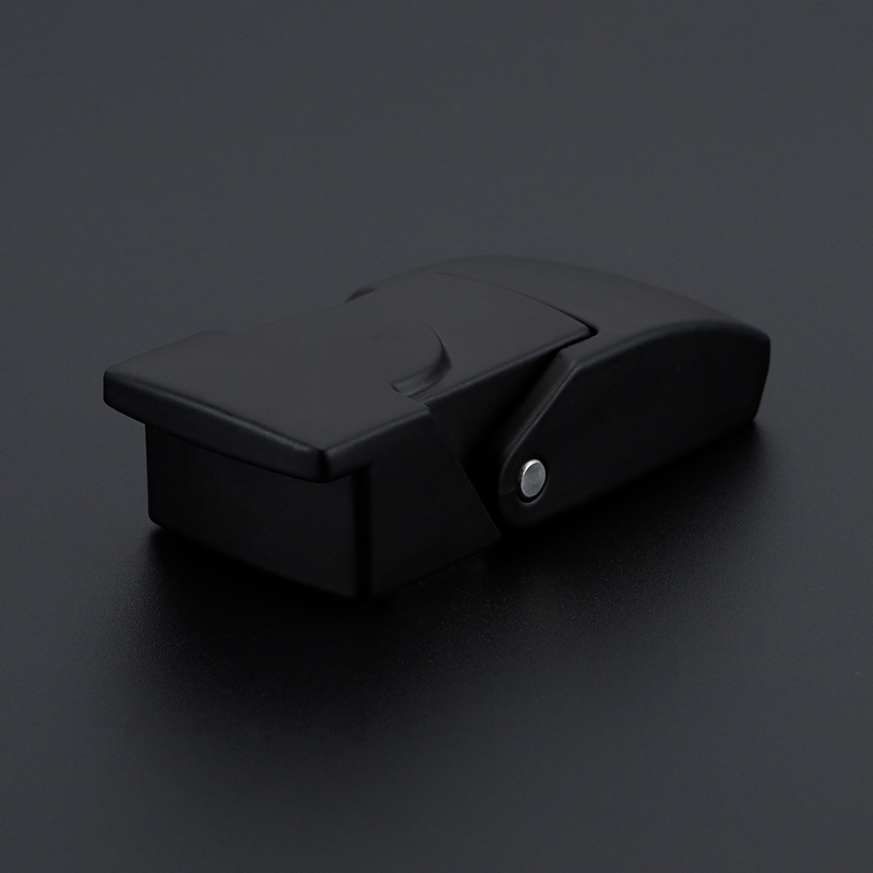 Buckle Lock factory.jpg